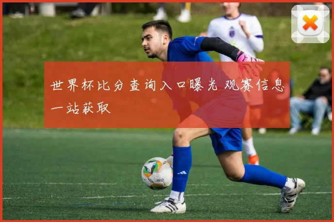 世界杯比分查询入口曝光 观赛信息一站获取