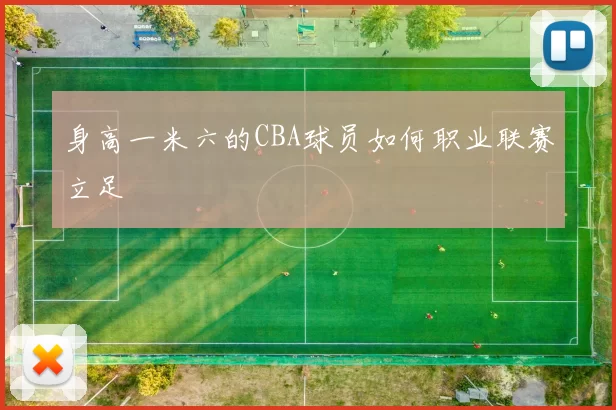 身高一米六的CBA球员如何职业联赛立足