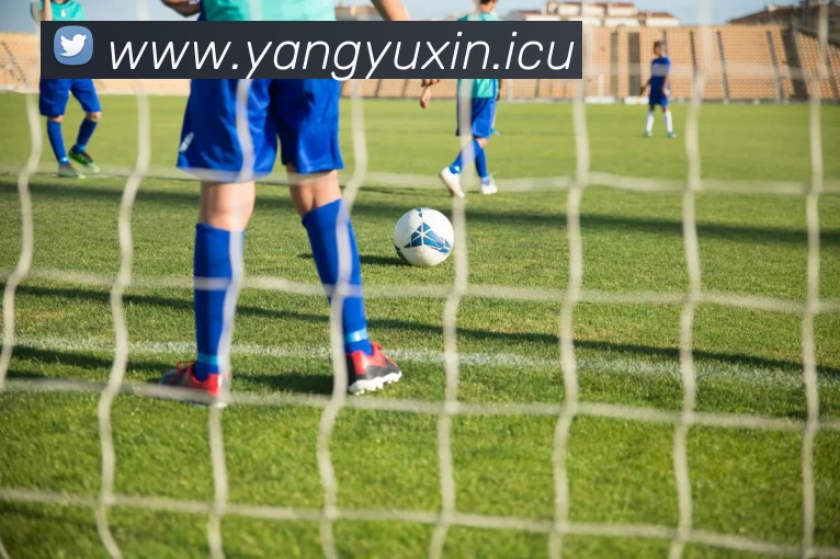 九游(JIUYOU.COM)体育第一门户 - 官方网站平台生态图