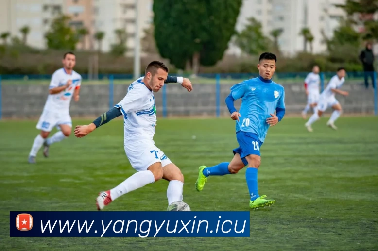 数据防护可视化